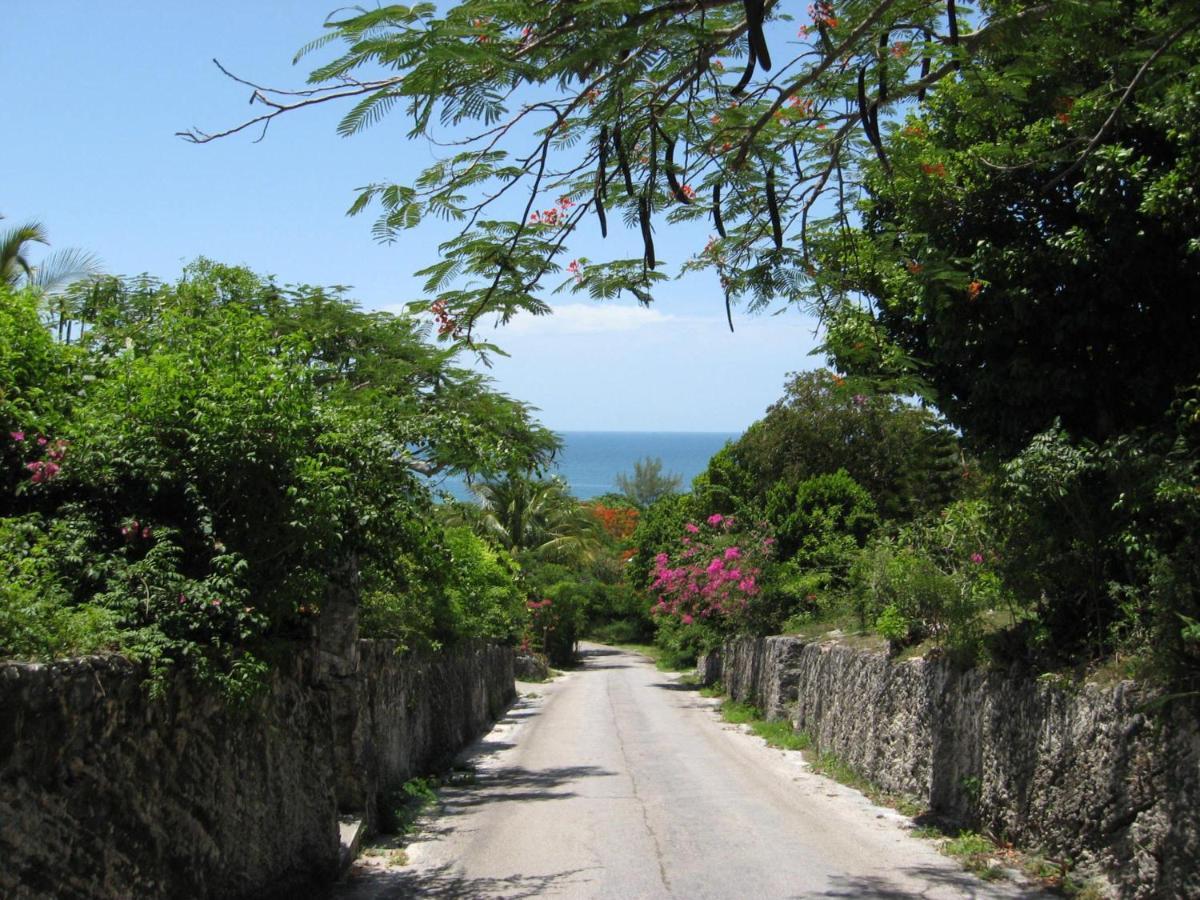 Blue Dream By Eleuthera Vacation Rentals Governor's Harbour Buitenkant foto